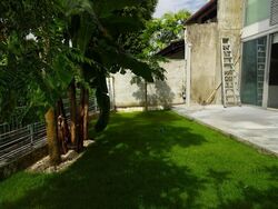 Bukit Timah Road (D10), Semi-Detached #477617191